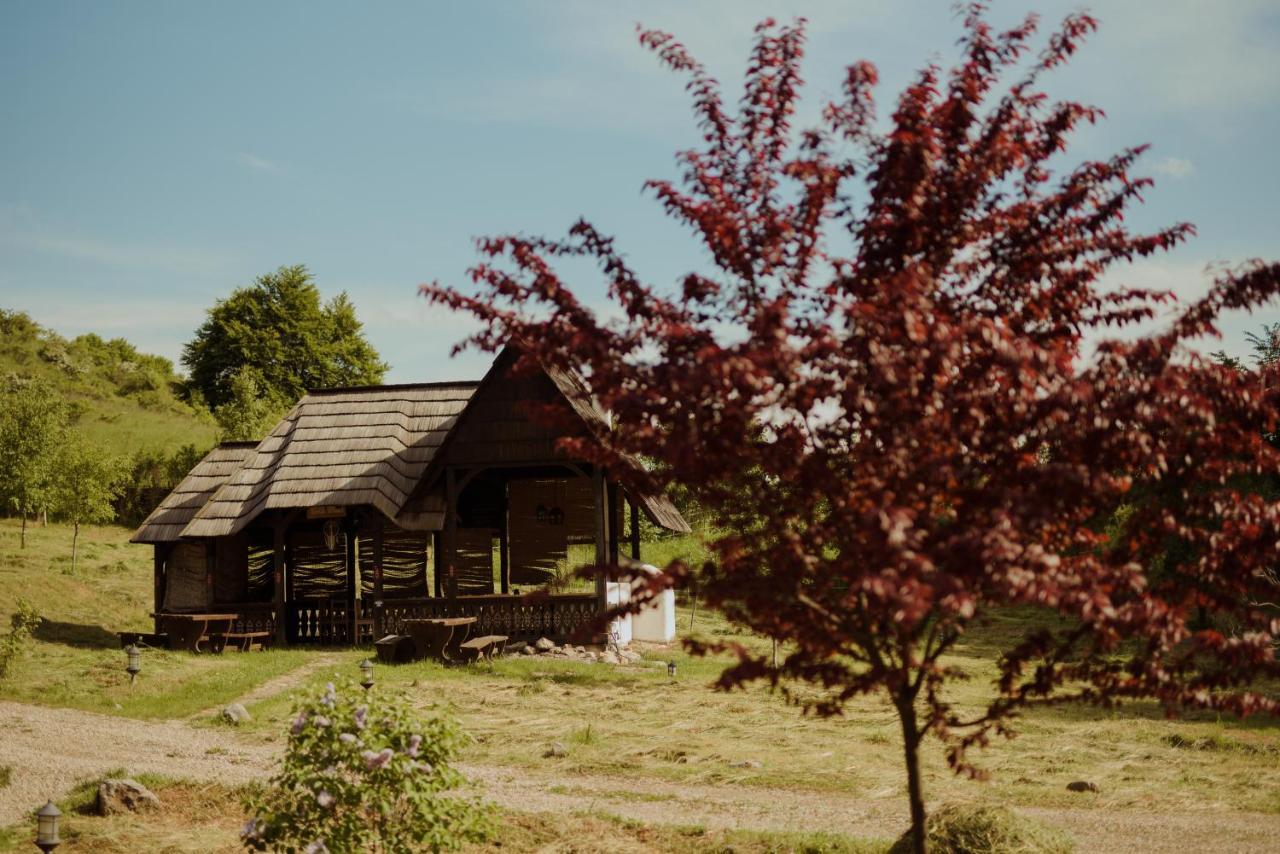 Raven'S Nest - The Hidden Village, Transylvania - Romania Sub Piatra Εξωτερικό φωτογραφία